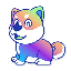 Holographic Doge