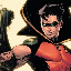 Robin Inu