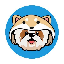 Shitzu Inu