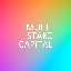 Multi-Stake Capital
