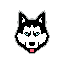 Balto Token