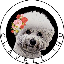 Clavell Inu
