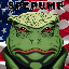 PepeTrump