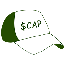 Fake Market Cap