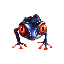 Red-Eyed-Frog