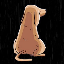 Stray Dog