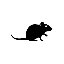Rat Roulette
