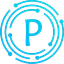 Promotion Coin