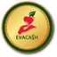 Eva Cash