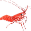 Shrimp Finance
