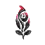Order of the Black Rose