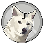Jindoge