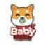 Baby Shiba
